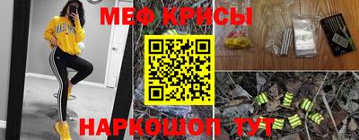 крисы Аргун