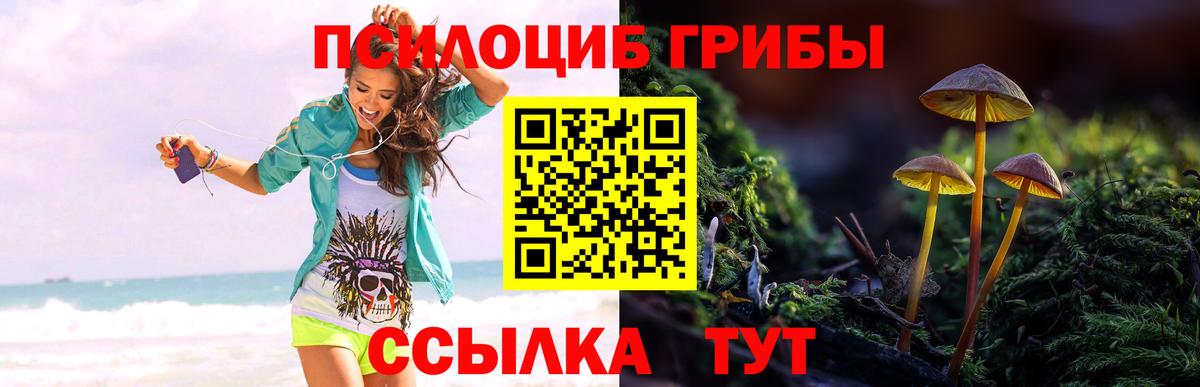 Белорецк  Галлюциногенные грибы мухоморы  Вход с VPN  как найти закладки  Галлюциногенные грибы прущие грибы 